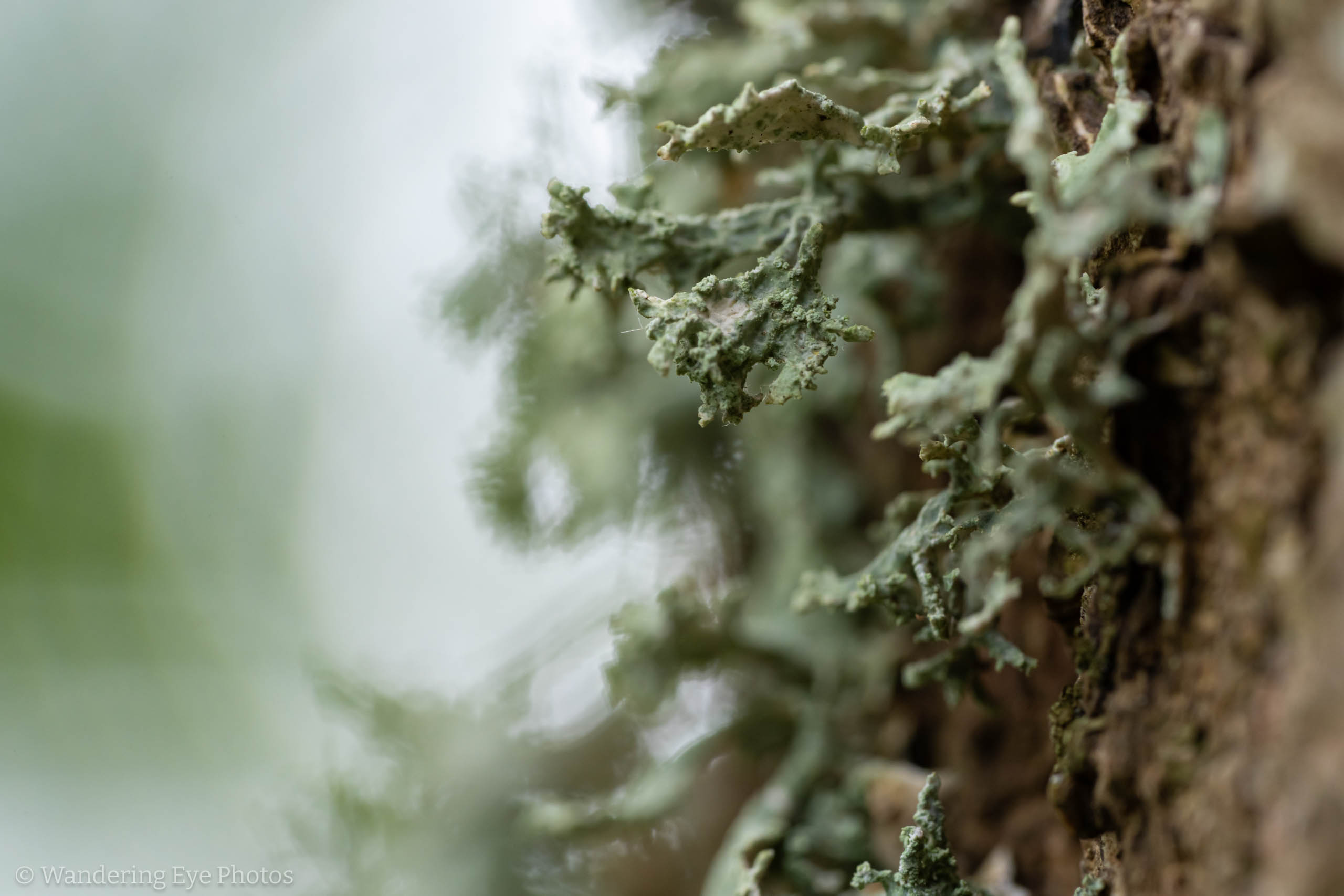 08.31 14.11.40   DSC02718